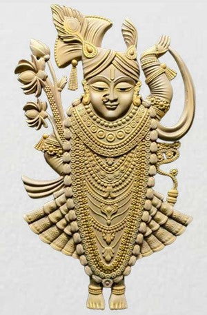 SHREENATH JI